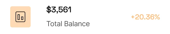 Balance Report